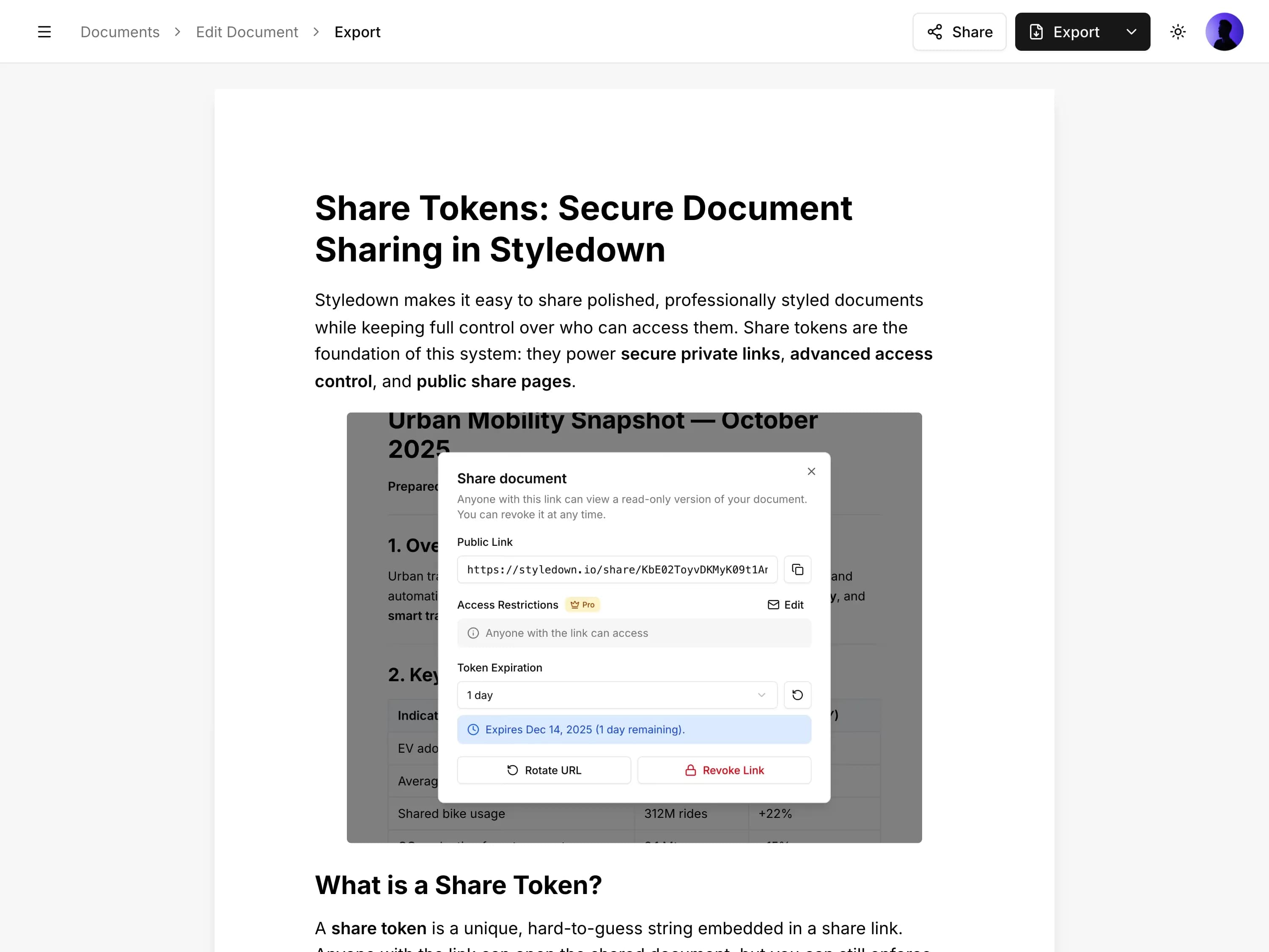 Image upload and styling interface