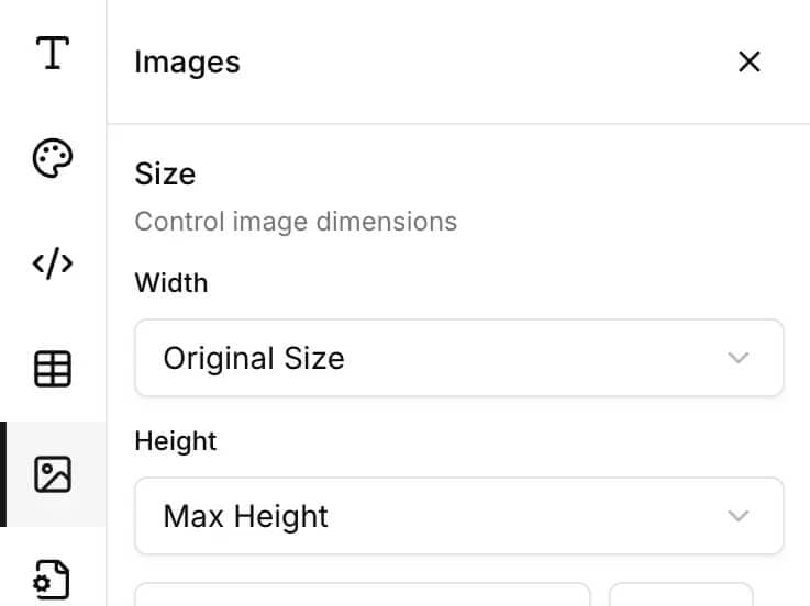 Image styling panel with controls